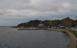 Dąbki - 03-11-2025 14:32