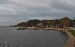 Dąbki - 03-11-2025 14:39