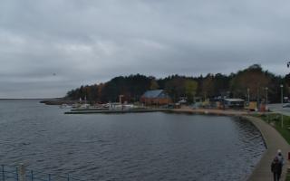 Dąbki - 03-11-2025 14:47