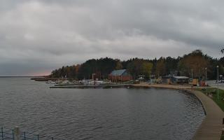 Dąbki - 03-11-2025 14:55