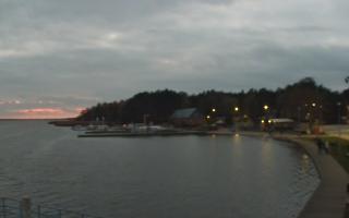 Dąbki - 03-11-2025 15:41