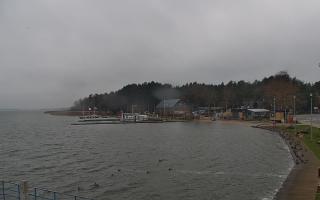 Dąbki - 13-12-2025 08:03