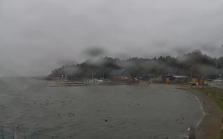 Dąbki - 13-12-2025 09:20