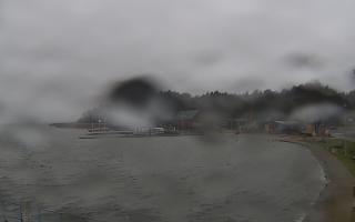 Dąbki - 13-12-2025 09:35