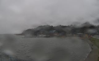 Dąbki - 13-12-2025 10:06