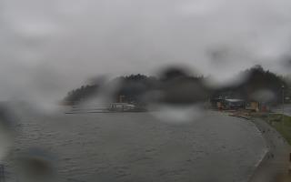 Dąbki - 13-12-2025 10:14