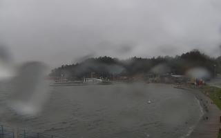 Dąbki - 13-12-2025 10:22