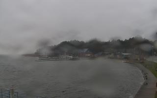 Dąbki - 13-12-2025 10:29