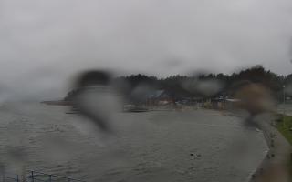 Dąbki - 13-12-2025 10:45