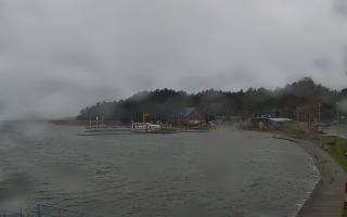 Dąbki - 13-12-2025 10:53