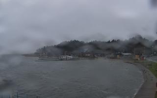 Dąbki - 13-12-2025 11:00