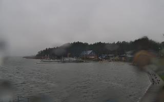 Dąbki - 13-12-2025 11:08