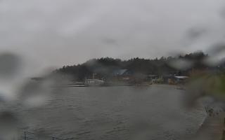 Dąbki - 13-12-2025 11:16