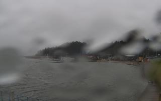 Dąbki - 13-12-2025 11:23