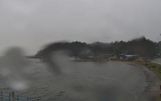 Dąbki - 13-12-2025 11:31