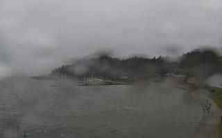 Dąbki - 13-12-2025 11:39