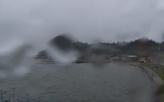 Dąbki - 13-12-2025 11:46