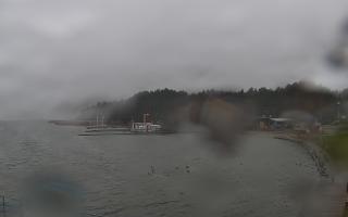 Dąbki - 13-12-2025 11:54