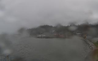 Dąbki - 13-12-2025 12:33