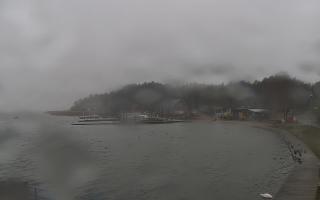 Dąbki - 13-12-2025 12:48