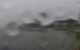 Dąbki - 13-12-2025 13:03