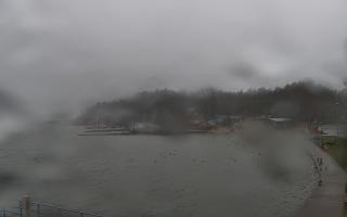 Dąbki - 13-12-2025 13:19