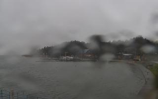 Dąbki - 13-12-2025 13:34