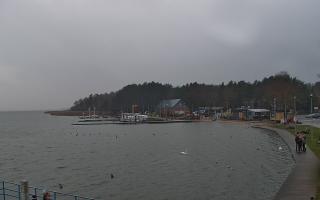 Dąbki - 13-12-2025 14:13