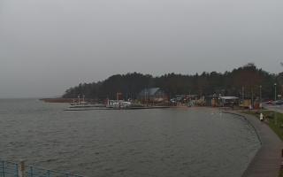 Dąbki - 13-12-2025 14:44