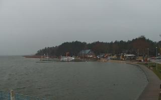 Dąbki - 13-12-2025 14:51