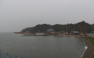 Dąbki - 18-12-2025 06:54