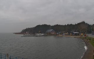 Dąbki - 18-12-2025 07:32