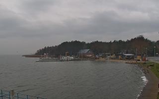 Dąbki - 18-12-2025 07:55