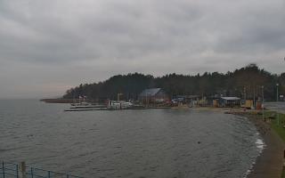 Dąbki - 18-12-2025 08:03