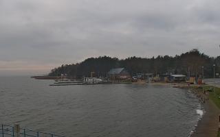 Dąbki - 18-12-2025 08:11