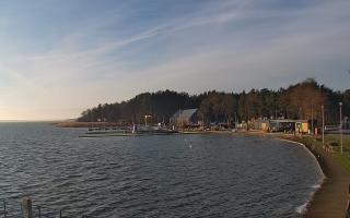 Dąbki - 18-12-2025 10:22