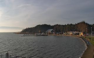 Dąbki - 18-12-2025 10:52