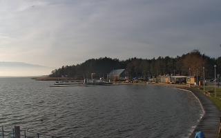 Dąbki - 18-12-2025 11:00