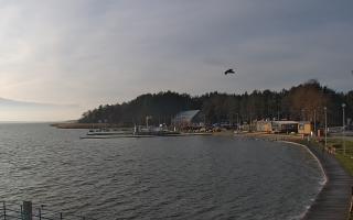 Dąbki - 18-12-2025 11:08