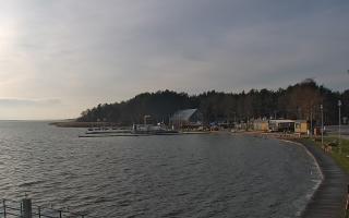 Dąbki - 18-12-2025 11:16