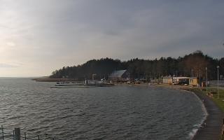 Dąbki - 18-12-2025 11:23