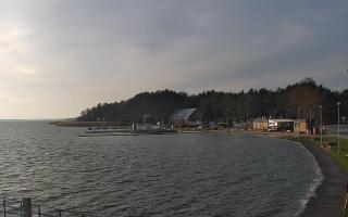 Dąbki - 18-12-2025 11:31