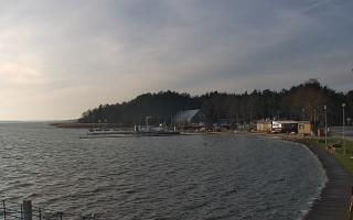 Dąbki - 18-12-2025 11:39