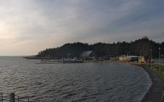 Dąbki - 18-12-2025 11:46