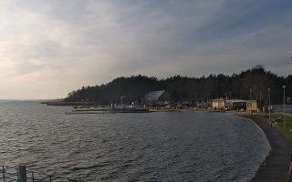 Dąbki - 18-12-2025 11:54