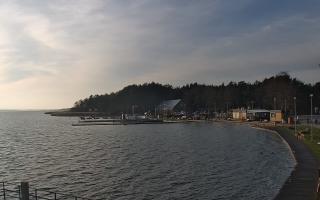 Dąbki - 18-12-2025 12:02