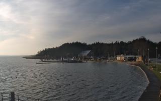 Dąbki - 18-12-2025 12:09