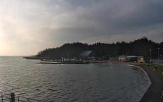 Dąbki - 18-12-2025 12:40