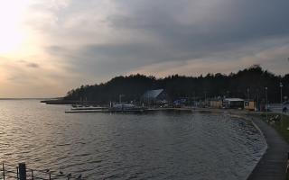 Dąbki - 18-12-2025 12:48