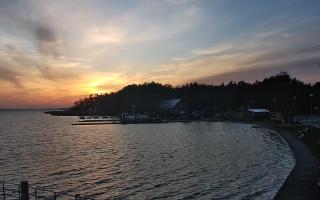 Dąbki - 18-12-2025 14:20